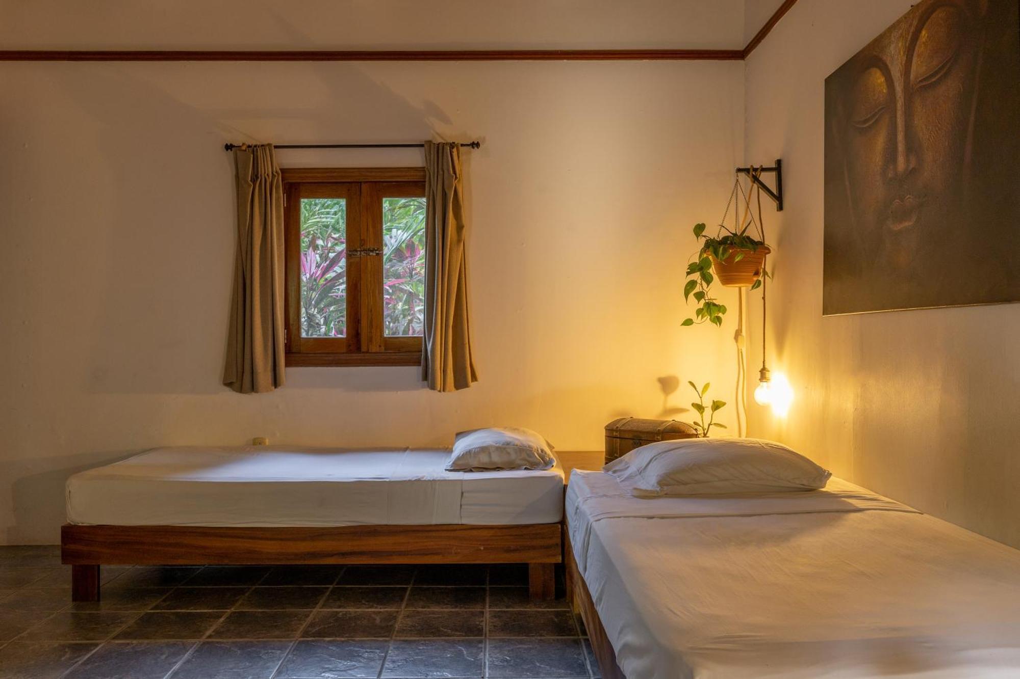 Star Mountain Jungle Lodge & Horse Ranch Мал Паис Екстериор снимка