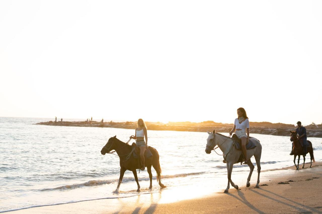 Star Mountain Jungle Lodge & Horse Ranch Мал Паис Екстериор снимка