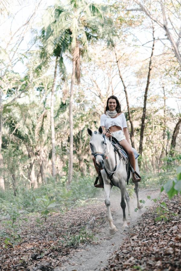 Star Mountain Jungle Lodge & Horse Ranch Мал Паис Екстериор снимка