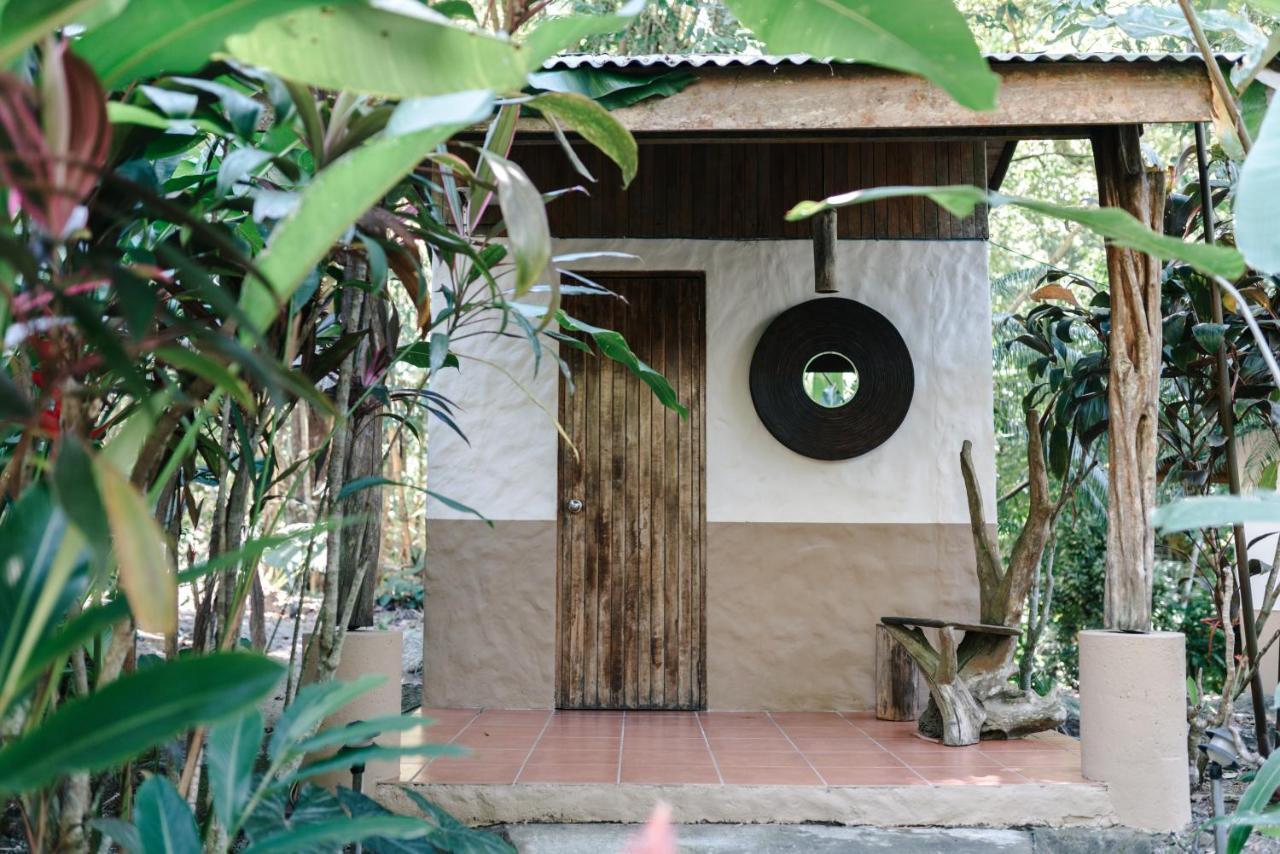 Star Mountain Jungle Lodge & Horse Ranch Мал Паис Екстериор снимка