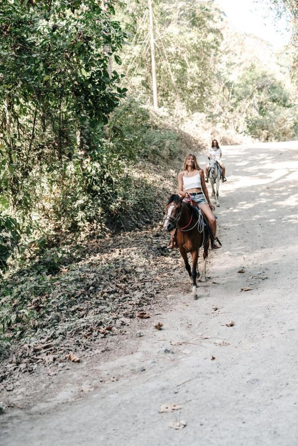 Star Mountain Jungle Lodge & Horse Ranch Мал Паис Екстериор снимка