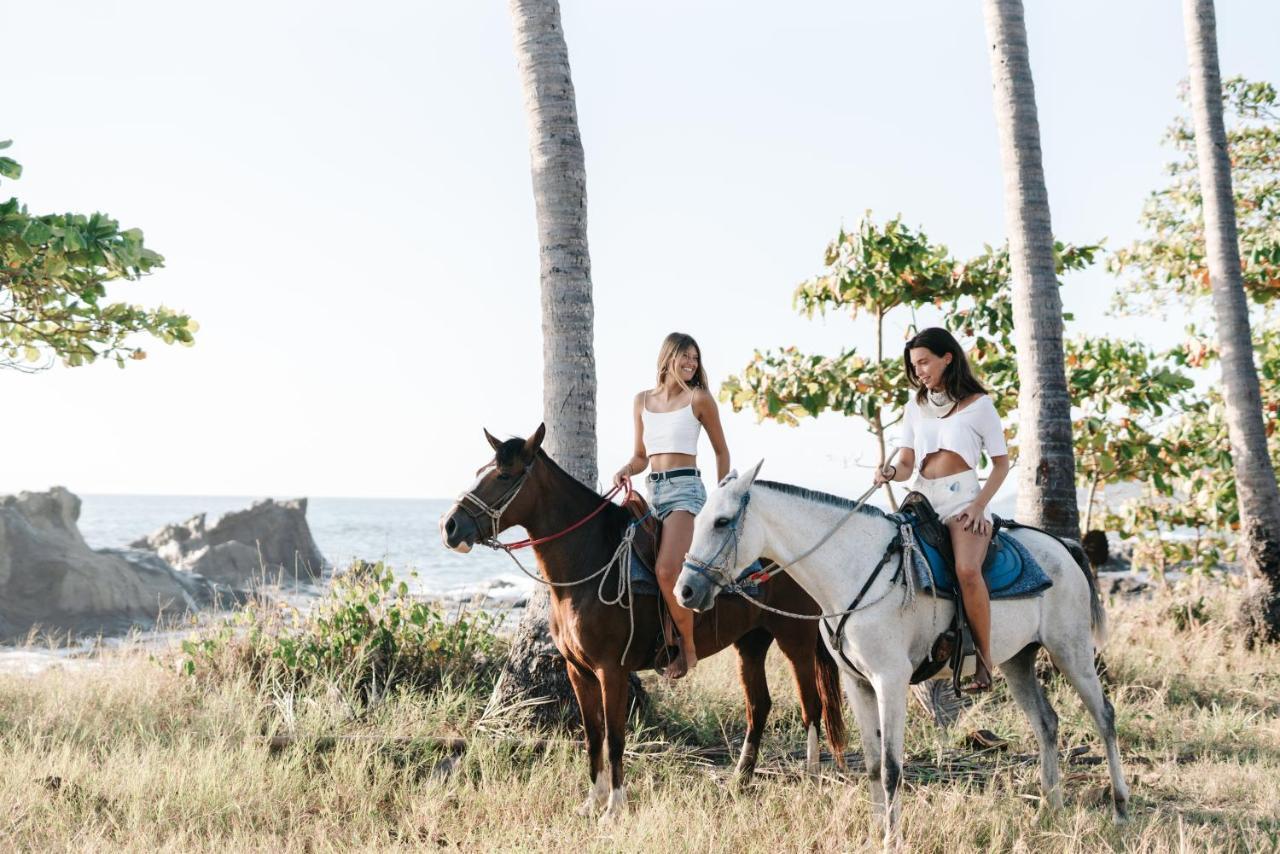 Star Mountain Jungle Lodge & Horse Ranch Мал Паис Екстериор снимка
